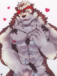 abs accessory anthro bearp_(artist) biceps brown_fur canid canine canis censored fur headband hi_res male male_only mammal mosaic_censoring multicolored_fur muscular muscular_male nipples pecs penis red_eyes simple_background solo tokyo_afterschool_summoners triceps two_tone_fur video_games volkv_vseslav white_fur wolf