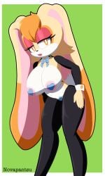 vanilla the rabbit from sega by novapantsu