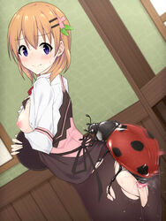 absurdres black_legwear blue_eyes blush breasts breasts_out brown_hair bug closed_mouth clothing eyebrows_visible_through_hair female gochuumon_wa_usagi_desu_ka? hair_ornament hairclip highres hoto_cocoa indoors insects ladybug large_breasts mingaru neckerchief nipples no_bra no_panties pantyhose rabbit_house_uniform red_neckwear sex shiny shiny_hair shiny_skin short_hair skirt slq small_breasts standing standing_sex torn_clothes torn_legwear vaginal_penetration window zoophilia