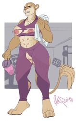 anthro bodily_fluids breasts clothing felid female gym hi_res lion mammal nipples pantherine pussy redpixie solo standing sweat teats torn_clothing towel wardrobe_malfunction