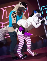 2019 ace_(acewolfy) anthro black_fur black_hair blue_eyes blue_nose blue_penis bodily_fluids canid canine canis clothing cum dancing fur genital_fluids hair jockstrap legwear male mammal otto_shep penis public purple_penis red_eyes shirt silvyr strip_club tank_top tattoo thigh_highs topwear underwear white_fur wolf yaoi