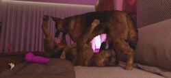 3d_(artwork) 3d_animation 69_position animal_genitalia animal_penis animated bed body_part_in_mouth canid canine canine_genitalia canine_penis canis digital_media_(artwork) domestic_dog duo erection fellatio feral feral_on_feral feral_penetrated feral_penetrating feral_penetrating_feral fur furniture genitals german_shepherd herding_dog intraspecies knot knotted_penis male male/male male_penetrated male_penetrating male_penetrating_male mammal mutual_oral oral oral_penetration pastoral_dog penetration penile penile_penetration penis penis_in_mouth realistic_feral sex sound tagme trioami260 video video