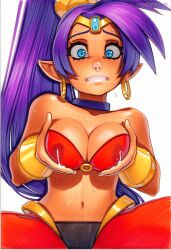 Shantae (Character) Rule 34 Image