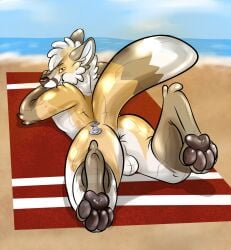 ass balloon beach big_ass bulge female femboy fox fox_ears fox_girl furry inflatable latex living_inflatable looking_at_viewer male nozzle pool_toy rubber thick_thighs