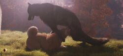3d_(artwork) 3d_animation 69_position animal_genitalia animal_penis animated balls body_part_in_mouth canid canine canine_genitalia canine_penis canis deep_throat digital_media_(artwork) domestic_dog duo erection face_fucking face_mounting fellatio feral feral_noises feral_on_feral feral_penetrated feral_penetrating feral_penetrating_feral genitals irrumatio knot knotted_penis male male/male male_penetrated male_penetrating male_penetrating_male mammal oral oral_only oral_penetration penetration penile penile_penetration penis penis_in_mouth servicing_from_below sex sheath shiba_inu short_playtime sound spitz tagme trioami260 video video wolf
