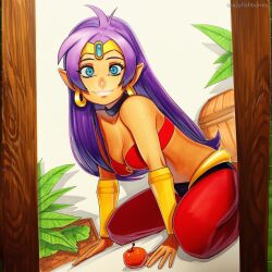 Shantae (Character) Rule 34 Image