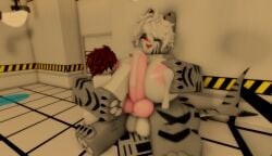 anthro balls breast_feeding breasts changed_(video_game) cock colin_(changed) feeling_pleasured furry futanari human knot lactation male precum precum_drip ravenuwu roblox self_upload shark size_difference small_male tiger_shark tiger_shark_(changed)