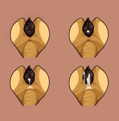 animal_genitalia animal_pussy animal_vulva anus ass bodily_fluids canid canine canine_genitalia canine_pussy canine_vulva colored cum cum_drip cum_inside digital_drawing_(artwork) digital_media_(artwork) disembodied dripping female feral fifity genital_fluids genitals in_heat leaking_cum mammal presenting presenting_anus presenting_cum_inside presenting_pussy presenting_vulva pussy shaded solo vaginal_penetration vulva