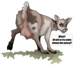 absurd_res anus challenge deer dialogue female feral genitals hi_res mammal puffy_anus pussy raised_tail solo speech_bubble tail tail_anus teats trailofanimals udders vulva