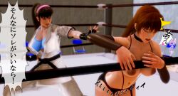 Hitomi (Doa) Rule 34 Image