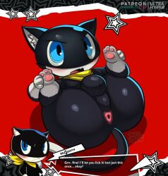 morgana (persona) from persona (series) by ultrahyper