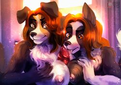 1boy 2019 2girls 5_fingers absurd_res anthro anthro_on_anthro areola assisted_fellatio black_nose border_collie breast_squish breasts breasts_frottage brown_eyes brown_hair canine cara_(juracollie) collie daughter detailed_background double_paizuri duo_focus eri-yo faceless_male fellatio female furry group group_sex hair herding_dog hi_res huge_breasts incest jura_(juracollie) male mammal mother mother_and_daughter multiple_girls nipples paizuri parent pastoral_dog penis sheepdog squish straight teamwork threesome young