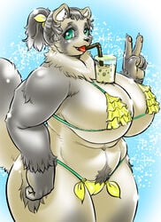 anthro beverage big_breasts bikini breasts cameltoe canid canine clothing female gesture huge_breasts kuro-gane looking_at_viewer mammal overweight overweight_female pubes raccoon_dog smile solo swimwear tanuki tongue tongue_out v_sign voluptuous