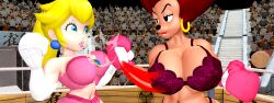 2girls 3d 3d_(artwork) anthro big_breasts blonde_hair boxing boxing_gloves boxing_ring bra breast_punch breasts brown_hair catfight cleavage crossover doyle44 eastern_and_western_character female_focus female_only fight fighting fighting_ring furry goof_troop huge_breasts large_breasts lingerie long_hair mario_(series) milf panties peg_pete princess_peach punch punching punching_breasts ryona short_hair