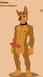 2025 absurd_res animal_genitalia animal_penis anthro balls brown_body brown_fur canid canine canine_genitalia canine_penis canis chart chase_(paw_patrol) digital_media_(artwork) domestic_dog erection foxxy3941 fur genitals german_shepherd height_chart herding_dog hi_res looking_at_viewer male male/male mammal microsoft_paint_(artwork) muscular muscular_male pastoral_dog paw_patrol penis solo