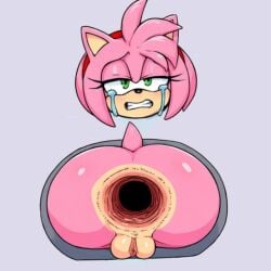 ai_generated amy_rose crying crying_with_eyes_open detachable displayed gaping_anus huge_gape modular pussy tunnel_gape
