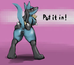 lucario from nintendo by lizardlars