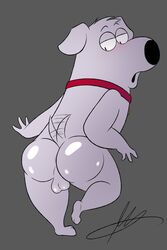 2:3 3_fingers 3_toes absurd_res anthro anus ass backsack balls big_butt biped black_eyes blush brian_griffin canid canine collar eyebrows family_guy feet fur girly grey_background half-closed_eyes head_tuft hi_res invalid_tag male male_only mammal open_mouth paws perineum presenting presenting_hindquarters raised_eyebrows raymondfoxxx red_collar signature simple_background standing tailwag thick_thighs toes white_fur