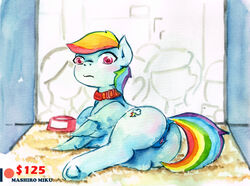 absurd_res domestic_cat equid equine felid feline felis female feral friendship_is_magic hi_res mammal mashiromiku my_little_pony painting_(artwork) pterippus rainbow_dash_(mlp) traditional_media_(artwork) watercolor_(artwork) wings