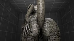 16:9 2019 3d anthro argonian argonian_female ass bethesda_softworks claws female hi_res lizard masturbation nude presenting presenting_hindquarters pussy reptile scales scalie skyrim solo source_filmmaker the_elder_scrolls vaginal_masturbation vaginal_penetration video_games whythefucknot_(artist)