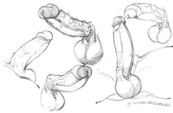 art_dump close-up erection foreskin lapinbeau male_only monster_penis multiple_penises penis sketch testicles veiny_penis