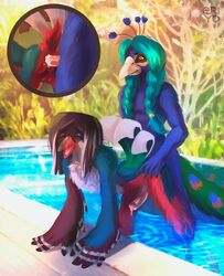 2019 absurd_res anthro anthro_on_anthro anthro_penetrated anthro_penetrating anthro_penetrating_anthro avian beak bird black_hair braided_hair detailed_background duo eri-yo girly hair hi_res huge_filesize male penetration yaoi