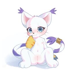 1girls anthro anus bandai_namco black_nose blue_eyes blush blush_lines breasts digimon digimon_(species) eyelashes female female_only fur gatomon genitals hi_res naked nude presenting presenting_vulva simple_background small_breasts solo tail ttaki vulva white_body white_fur
