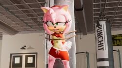 1girls 3d 3d_(artwork) ahe_gao amy_rose arms_tied_behind_back blush drooling female_only female_pervert femsub gym_clothes horny_female human_punching_bag one_breast_out pussy_juice_drip pussy_juice_string sonic_(series) sonic_the_hedgehog_(series) ssmerchant tied_to_punching_bag