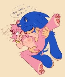 1boy1girl amy_rose claws clitoral_stimulation fang furry furry_only hedgehog in_heat in_rut laying_on_side leg_up moaning_in_pleasure pawpads paws romantic romantic_couple sonic_(series) sonic_the_hedgehog sonic_the_hedgehog_(series) straight vaginal_penetration vaginal_sex wap
