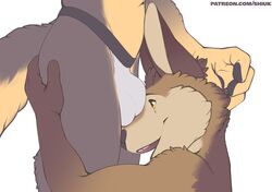 anthro ass bulge butt_grab canid canine canis clothing duo fingers fox hand_on_butt head_grab hi_res male mammal penis penis_outline shiuk simple_background underwear wolf yaoi