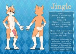 anthro balls big_balls big_penis canid canine canis domestic_dog flaccid foreskin hair herding_dog hi_res huge_balls huge_cock humanoid_penis hyper male mammal model_sheet nude pastoral_dog penis solo standing tiedernas welsh_corgi