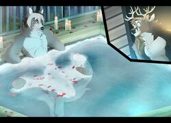 anthro antlers candle canid canine canis cervid cutaway duo hi_res horn looking_at_viewer male male_only mammal nude partially_submerged shade_okami spa wolf