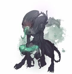 alien alien_(franchise) animal_genitalia animal_penis balls black_body digital_drawing_(artwork) digital_media_(artwork) equine_genitalia equine_penis erection genitals hi_res male medial_ring not_furry penis shibuyatank simple_background solo tail teeth tongue tongue_out white_background xenomorph