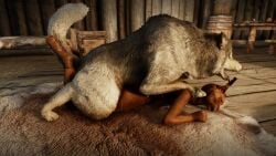 3d animal_genitalia anthro brown_fur domestic_dog female feral_on_anthro feral_penetrating feral_penetrating_anthro from_behind grey_fur husky inside khajiit male male/female pinned sktorus skyrim zoophilia