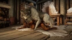 animal_genitalia anthro brown_fur domestic_dog ear_piercing feral_on_anthro feral_penetrating feral_penetrating_anthro from_behind grey_fur husky inside khajiit knot male/female nose_piercing pinned sktorus skyrim zoophilia