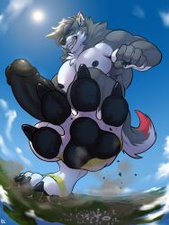 absurd_res anthro canid canine canis crush domestic_dog hi_res husky hyper looming macro male mammal mega muscular nordic_sled_dog paws solaxe_(artist) solo spitz stomping