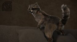 3d animal_genitalia animal_pussy anthro anus ass black_nose cosmiclife feet female feral fur hi_res looking_back mammal paws pillow pinup pose presenting presenting_anus presenting_pussy procyonid pussy raccoon raised_tail realistic semi-anthro smile sofa solo spread_legs spreading sue_andy_(cosmiclife)