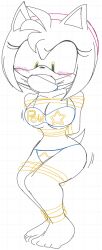 amy_rose bondage redstheatre redswhiteboards sonic_(series) sonic_the_hedgehog_(series)