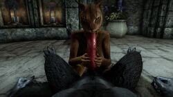 animal_genitalia black_fur black_nails blue_eyes brown_fur church ear_piercing khajiit knot knotted_penis laying_down nose_piercing oral sktorus skyrim werewolf