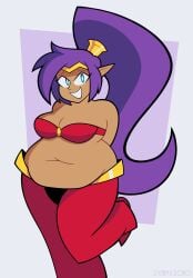 1girls belly belly_fetish big_belly chubby chubby_girl dynamicrobo fat fat_woman female female_only shantae shantae_(character) solo thick thick_thighs