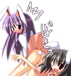 2girls animal_ear ass assisted_exposure bunny_ear bunny_tail exposed exposed_ass female female_only female_with_female ichidai_taisa lowres multiple_girls no_panties reisen_udongein_inaba skirt skirt_flip skirt_lift tail tewi_inaba touhou yuri