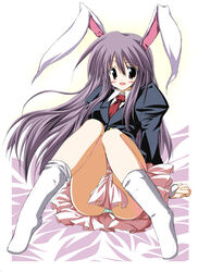 animal_ear arm_support blazer blush brown_eyes bunny_ear covering dress_shirt footwear green_panties long_hair necktie panchira panchira_(sitting) panties pantyshot pantyshot_(sitting) pantyshot_sitting purple_hair reisen_udongein_inaba s_e_n sen_(astronomy) shirt sitting socks solo touhou underwear white_legwear white_socks