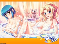 2girls bath blonde_hair blue_hair blush breasts bubble_bath censored convenient_censoring erika_kiriya hair_ornament hair_ribbon hairclip kiriya_erika kurogane_otome large_breasts lather leg_up multiple_girls nude otome_kurogane ponytail ribbon shironeko_sanbou smile soap tied_hair tsuyokiss wallpaper yellow_eyes