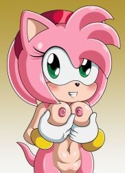 amy_rose breast_grab hedgehog_girl melons pink_hair sonic_(series) sonictopfan