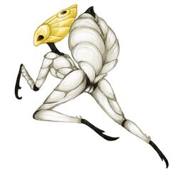 arthropod female godseeker hollow_knight insects keeyitlowkey no_humans pussy simple_background white_background