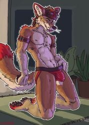 anthro arm_strap brown_body brown_fur brown_hair bulge canid canine canis carpet clothed clothing detailed_bulge digital_media_(artwork) domestic_dog fur genital_outline hair hi_res houseplant inside inviting jockstrap jockstrap_only kneeling leather leather_strap male mammal manedfucc multicolored_body multicolored_fur multicolored_hair multicolored_tail pawpads penis_outline pixel_(artwork) plant red_body red_fur red_hair red_paws signature solo straps tail tan_body tan_fur tongue tongue_out topless underwear underwear_only whiskers white_body white_fur