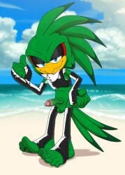 absurd_res anthro balls barefoot beach clothing digital_drawing_(artwork) digital_media_(artwork) feet foot_ninja15 genitals hi_res jet_the_hawk latex leggings legwear male nude penis sega solo solo_male sonic_(series) sonic_riders sonic_the_hedgehog_(series)