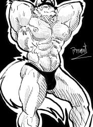 anthro armpit_hair ass barazoku bodily_fluids body_hair canid canine canis chest_hair clothing epic_games fortnite genitals hairy hat headgear headwear hi_res looking_at_viewer male mammal muscular muscular_anthro muscular_male nipples pinumontbalou pubes raised_arm solo sweat underwear wendell_(fortnite) wolf