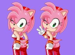 amy_rose looking_back no_panties panties presenting_ass sonic_(series) sonic_riders sonictopfan