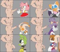 after_fellatio after_oral amy_rose blaze_the_cat blowjob cream_the_rabbit fellatio fufuisufu mobian_(species) rouge_the_bat sonic_(series) surge_the_tenrec tagme vanilla_the_rabbit